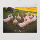 Zoek naar kwakzalvers posters Schattig