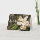 Zoek naar witte bloemen fotografie Floreel