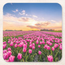 Zoek naar holland onderzetters Natuur