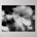 Zoek naar maffia posters Voor haar