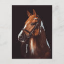 Zoek naar verf paard briefkaarten Pinto
