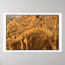 Zoek naar tarwe posters Natuur