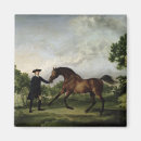 Zoek naar blank magneten Paard