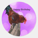 Zoek naar grappige haan stickers Rooster