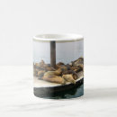 Zoek naar seal mokken Zeehonden