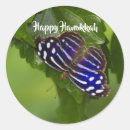 Zoek naar witte vlinder stickers Insect