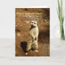 Zoek naar meerkat kaarten Natuur