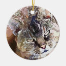 Zoek naar tabby cat ornamenten Dieren