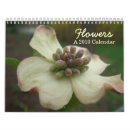 Zoek naar tulip kalenders Voor iedereen