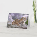 Zoek naar jaguaren kaarten Kat