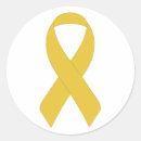 Zoek naar steun onze troepen stickers Ondersteuning