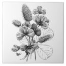 Zoek naar klaver tegels Bloemen