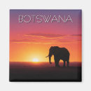 Zoek naar kalahari magneten Woestijn