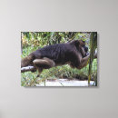 Zoek naar dierentuin canvas prints Tropisch