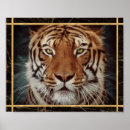 Zoek naar tijger gezicht posters Wild dier