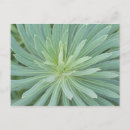 Zoek naar botanische tuin briefkaarten Plant