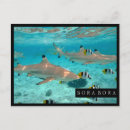 Zoek naar vissen briefkaarten Voor iedereen