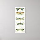 Zoek naar dragonfly kunst Dieren