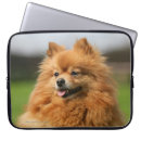 Zoek naar pomeranian hoesjes Loulou