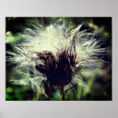 Zoek naar sed posters Voor haar