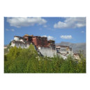 Zoek naar lhasa posters China