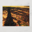 Zoek naar herfst boom briefkaarten Esdoorn