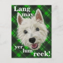 Zoek naar westie briefkaarten Hond