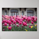 Zoek naar paarse tulpen posters Voor haar