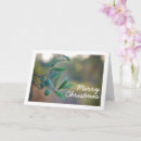 Zoek naar olijfboom kaarten Elk persoon