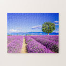 Zoek naar provence puzzels Zomer