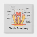 Zoek naar gezondheid magneten Dokter