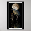 Zoek naar waadvogel posters Vogels