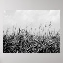 Zoek naar duin posters Landschap