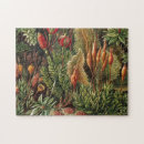 Zoek naar plantkunde puzzels Bloemen