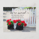 Zoek naar rode geranium posters Floreel