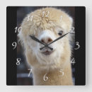 Zoek naar alpaca kunst Zoogdier