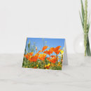 Zoek naar gevoel kaarten Voor iedereen