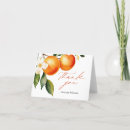 Zoek naar cutie Sinaasappel