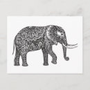 Zoek naar zenuwachtig briefkaarten Olifant