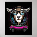Zoek naar gamine posters Blauwe vogel