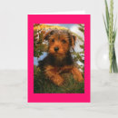 Zoek naar airedale verjaardagskaarten Puppies