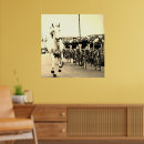 Zoek naar witte paarden posters Voor hem