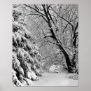 Zoek naar dennen posters Foto's