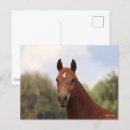 Zoek naar oldenburg briefkaarten Hoofdschot