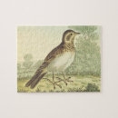 Zoek naar grond puzzels Vogel