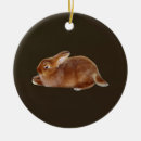 Zoek naar bruin konijn ornamenten Bunny