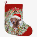 Zoek naar vizsla kerstsokken Kerstmis