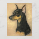 Zoek naar miniature pinscher briefkaarten Gezelschapsdier