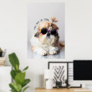 Zoek naar zonnebril posters Dieren