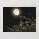 Zoek naar gras briefkaarten Herfst